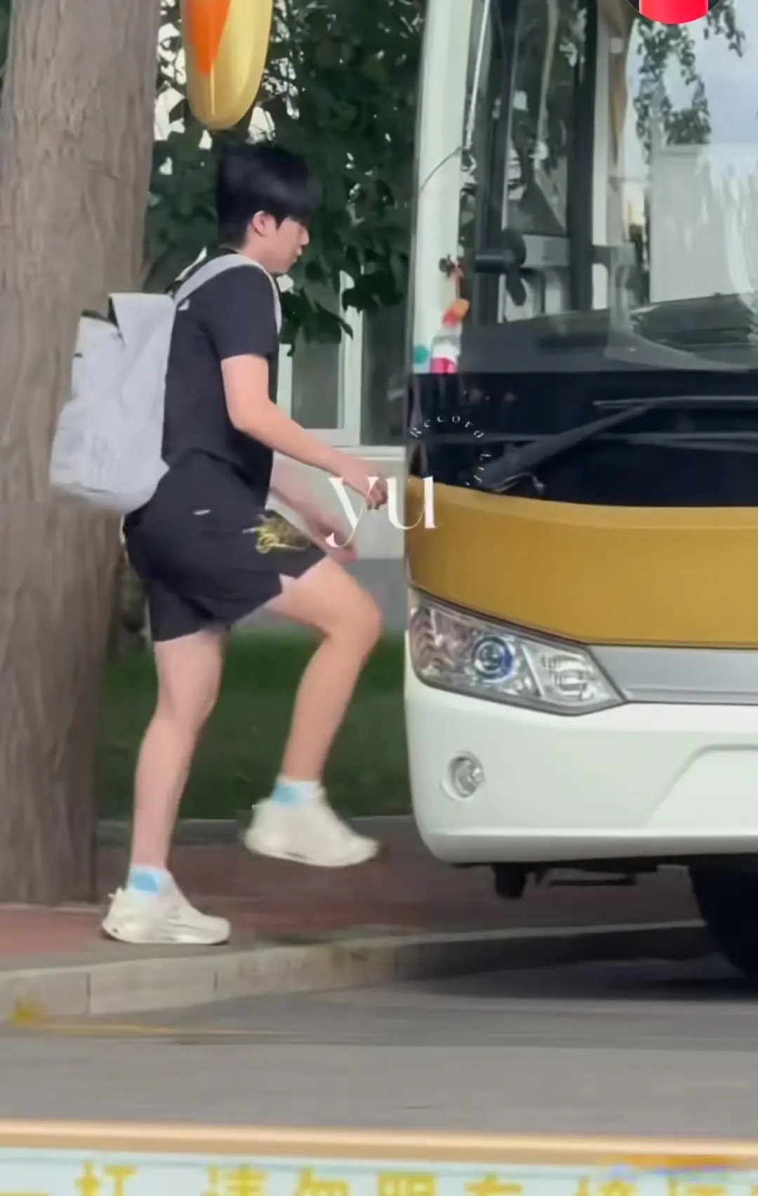 腿伤应该恢, entit