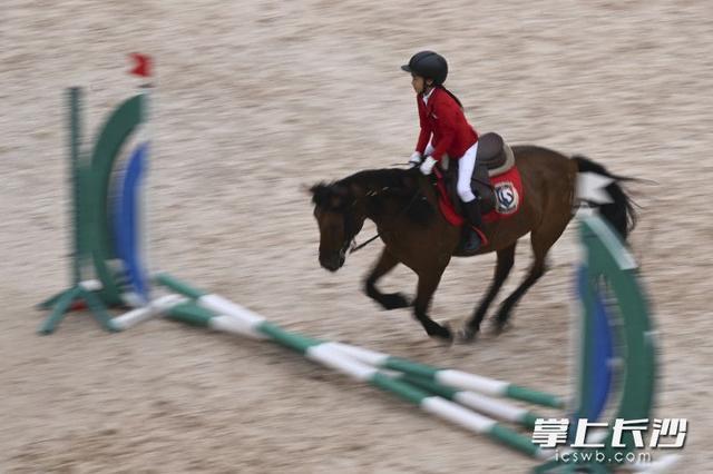 线上直播, 岁开始接触, 协会CEA 线上直播, 岁开始接触, 协会CEA