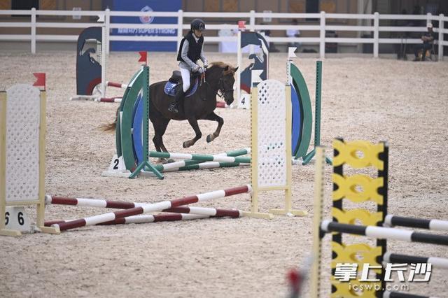 尤其是骑马, 长沙晚报掌 尤其是骑马, 长沙晚报掌